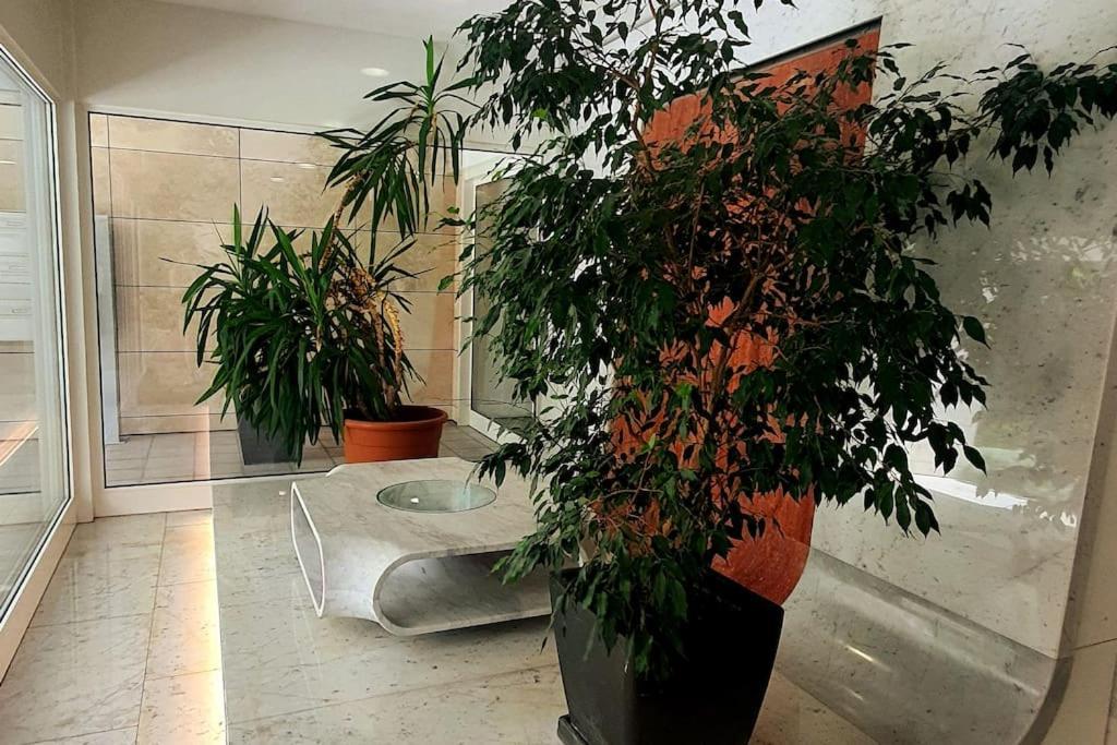 Appartamento Centrale Con Wifi E Posteggio Privato Gratis! Λουγκάνο Εξωτερικό φωτογραφία